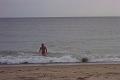 Atlantic ocean  Cape cod035